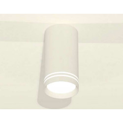 Комплект накладного светильника с акрилом Ambrella Light XS8161007