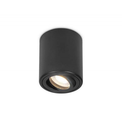 Накладной поворотный точечный светильник Ambrella Light TN226