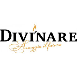 Divinare (Дивинарэ)