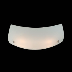 Citilux CL934011 Светильник потолочный Белый