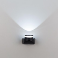 Citilux CLU0004 LED Уличный настенный светильник