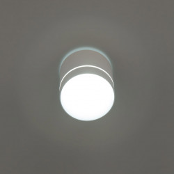 Citilux Борн CL745020N LED Светильник накладной Белый