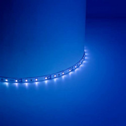 Cветодиодная LED лента Feron LS604, 60SMD(2835)/м 4.8Вт/м 5м IP65 12V синий  27677