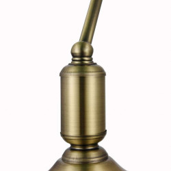 Настольная лампа Maytoni Kiwi Z153-TL-01-BS